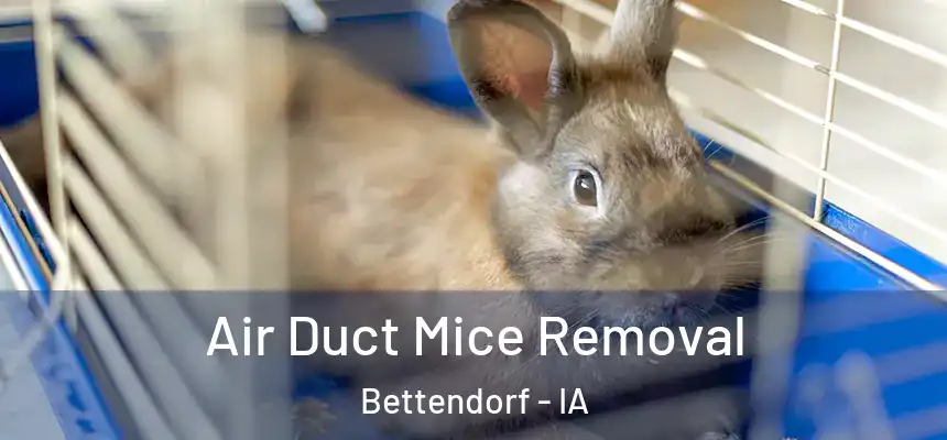  Air Duct Mice Removal Bettendorf - IA