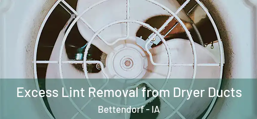  Excess Lint Removal from Dryer Ducts Bettendorf - IA