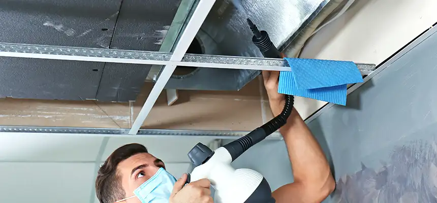 Our Air Duct Rodent Removal Services in Bettendorf, IA