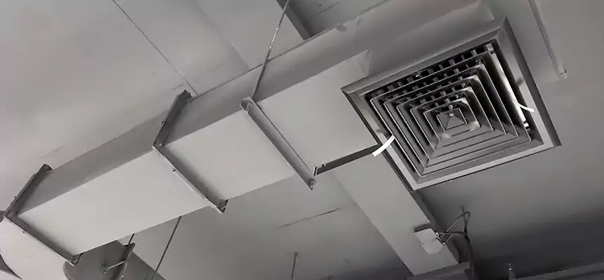 Restorative Allergy Relief Vent Cleaning – Coil, Blower & Housing Detail in Bettendorf