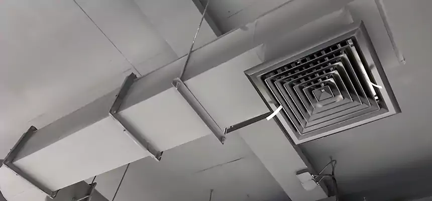 Our Pest Removal From Ducts Services in Bettendorf, IA