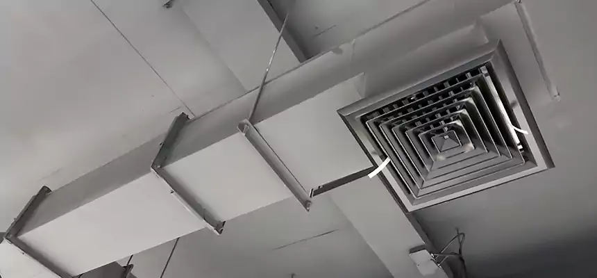 Our Rodent Droppings In Vents Services in Bettendorf, IA