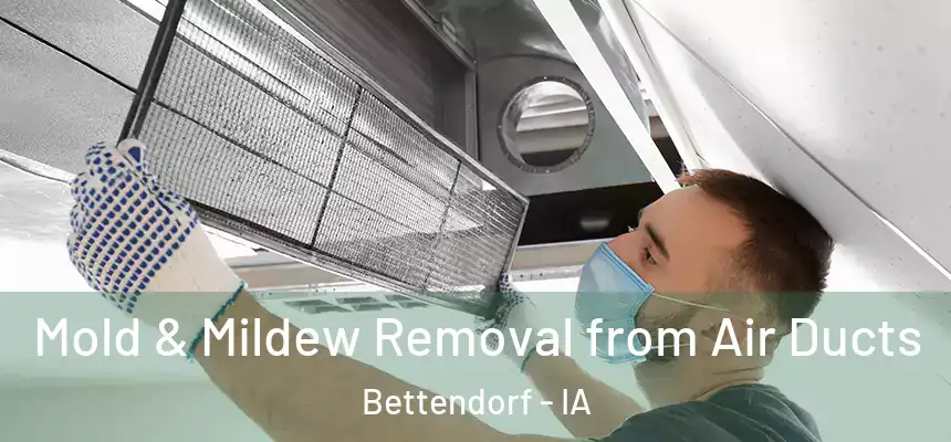  Mold & Mildew Removal from Air Ducts Bettendorf - IA