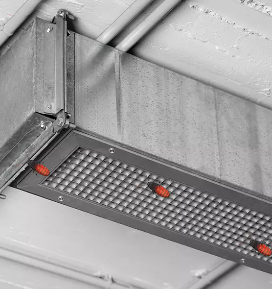 About Air Duct Cockroach Removal in Bettendorf, IA
