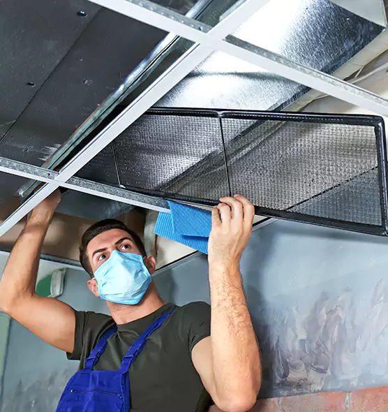Professional Air Duct Pollen Cleaning in Bettendorf, IA