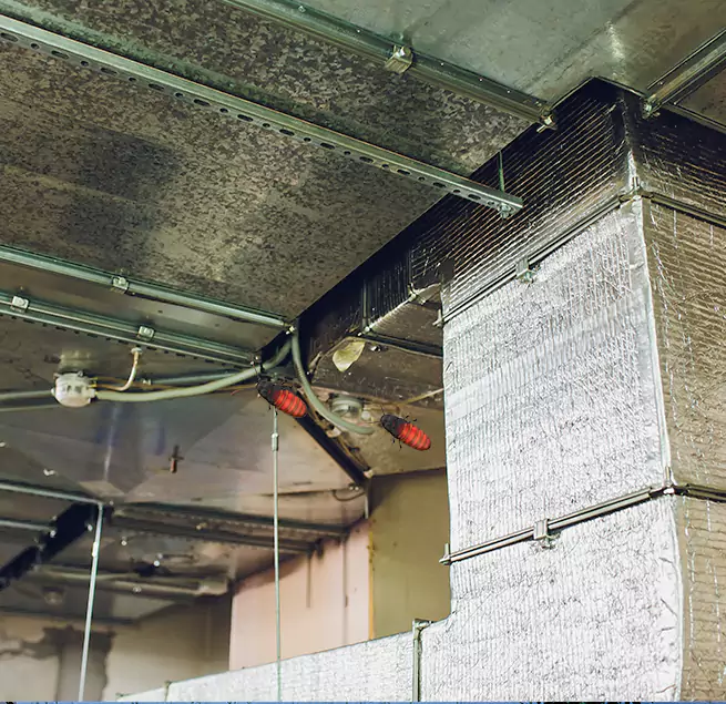 Why Homeowners & Businesses Trust Us Bettendorf, IA?